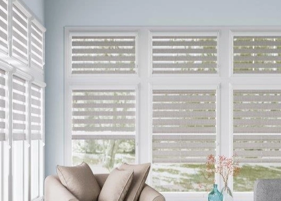 Day and Night Blinds (155)